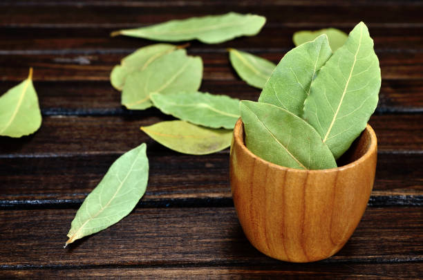 Bay Leaf